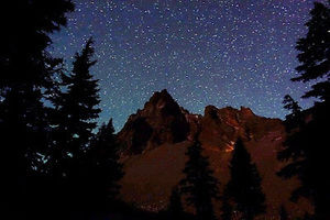 Meet your Posher, Holly